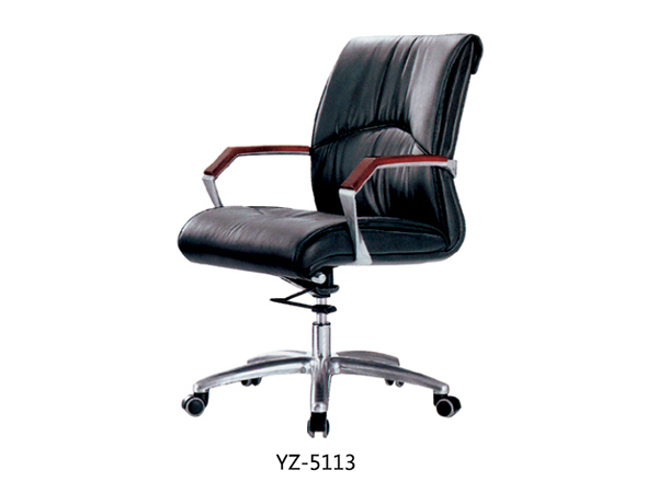 YZ-5113
